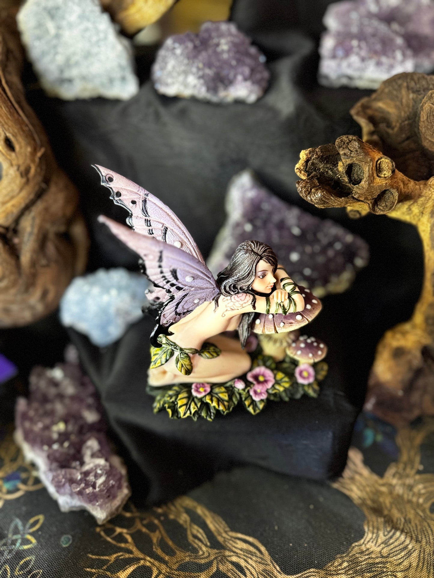 🍄✨ Hada Iris ✨🍄