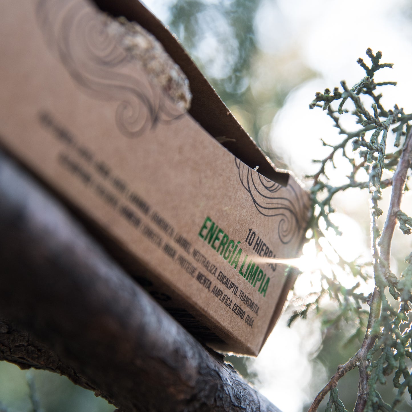 🔹 Bomba Herbal Supreme XL — EnergÃa Limpia