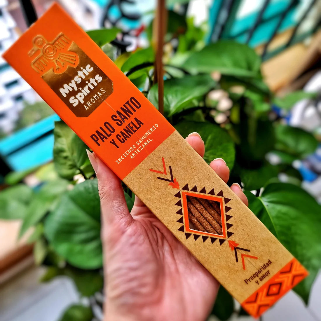 🍂 Mystic Spirits – Palo Santo & Canela (Prosperidad & Amor)