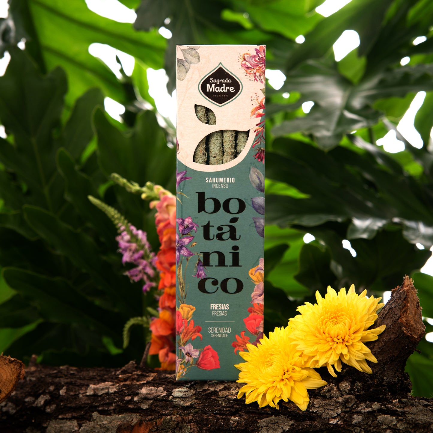 🌸 Botánico Fresias