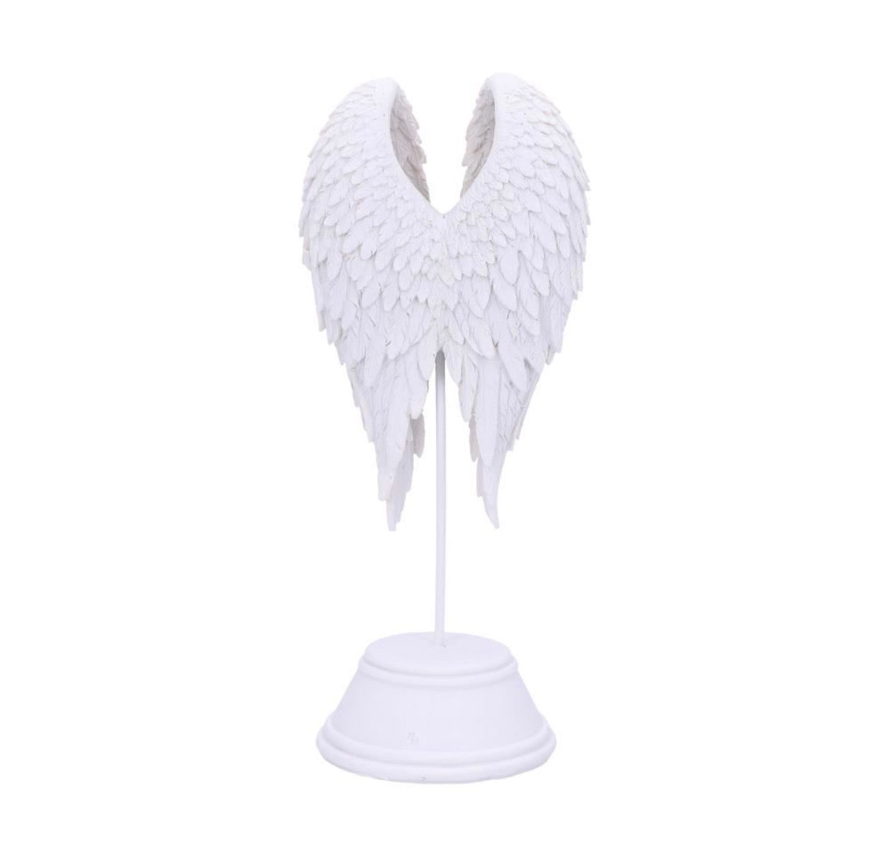 Alas de Ángel 🪽