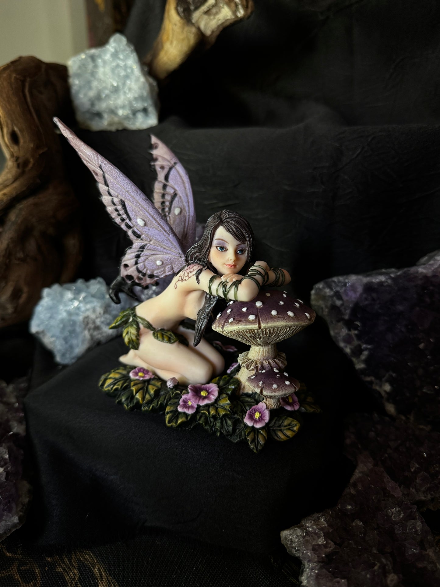 🍄✨ Hada Iris ✨🍄