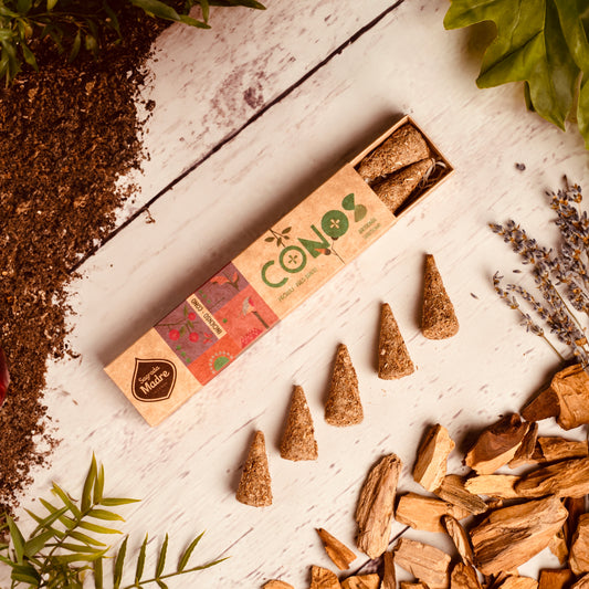 Incienso Cono Pachuli y Palosanto Sagrada Madre