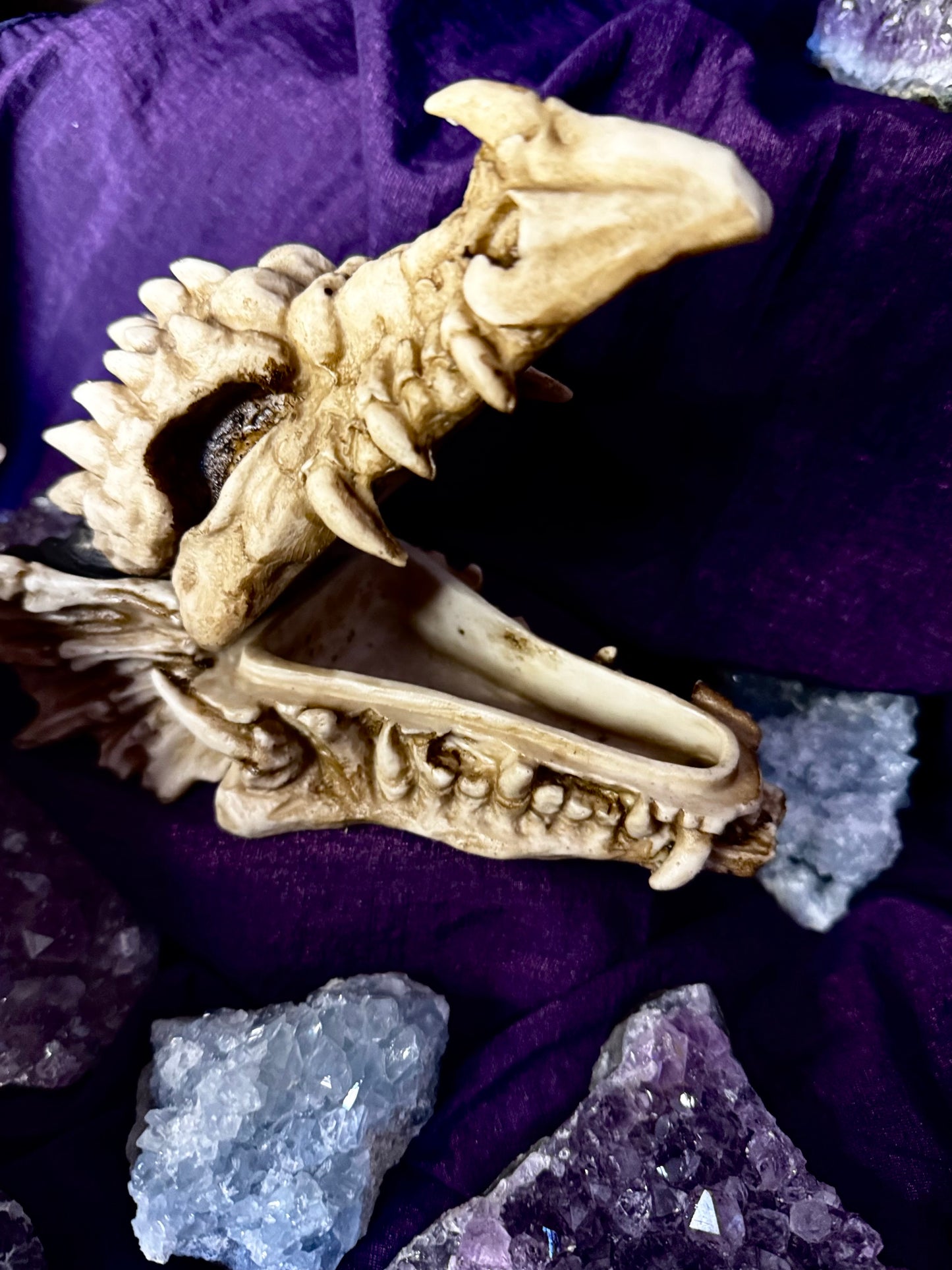 🐲💍 Caja Cabeza de Dragón 💍🐲