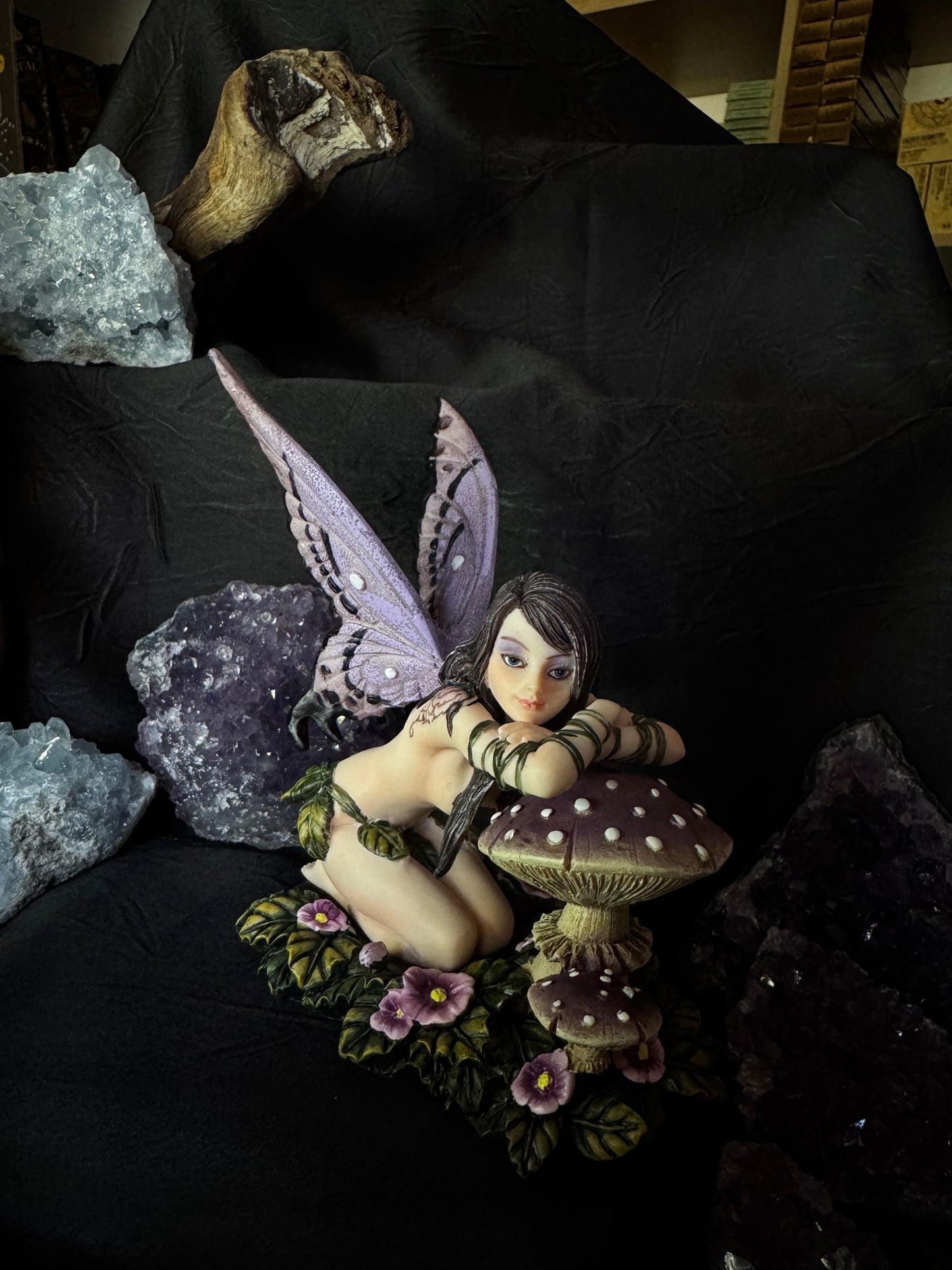 🍄✨ Hada Iris ✨🍄