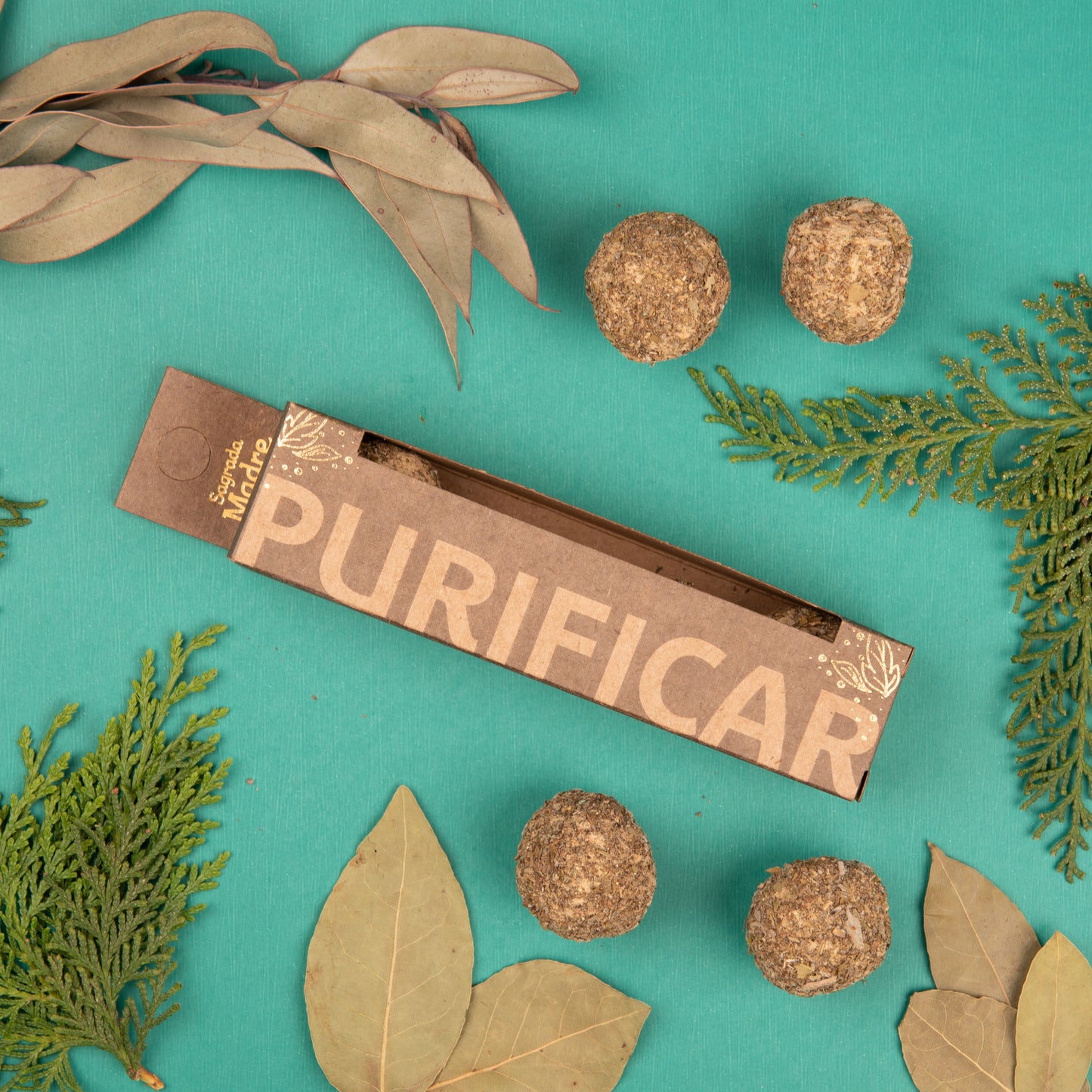 Bombitas Purificar · Protección y Renovación