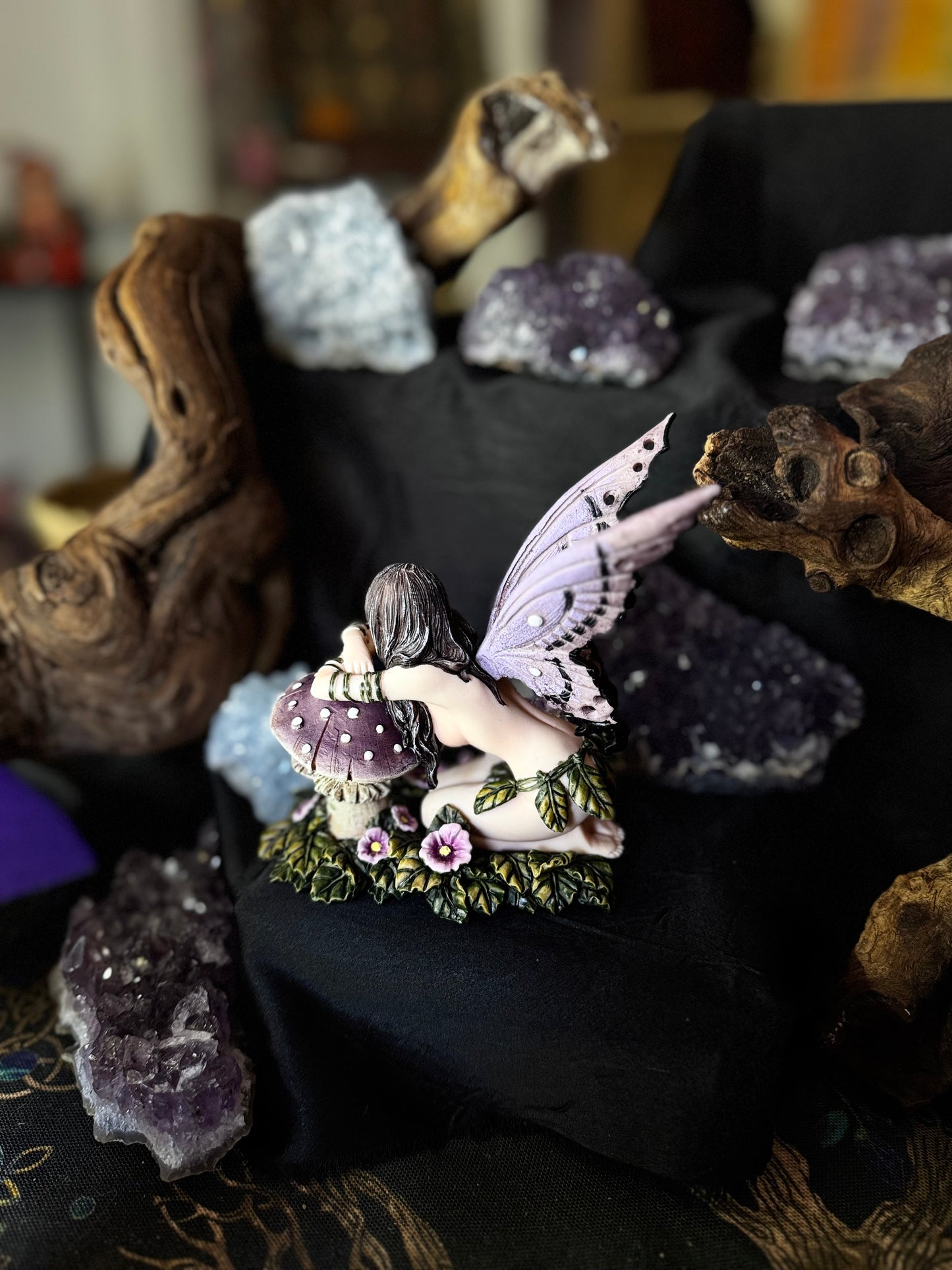 🍄✨ Hada Iris ✨🍄