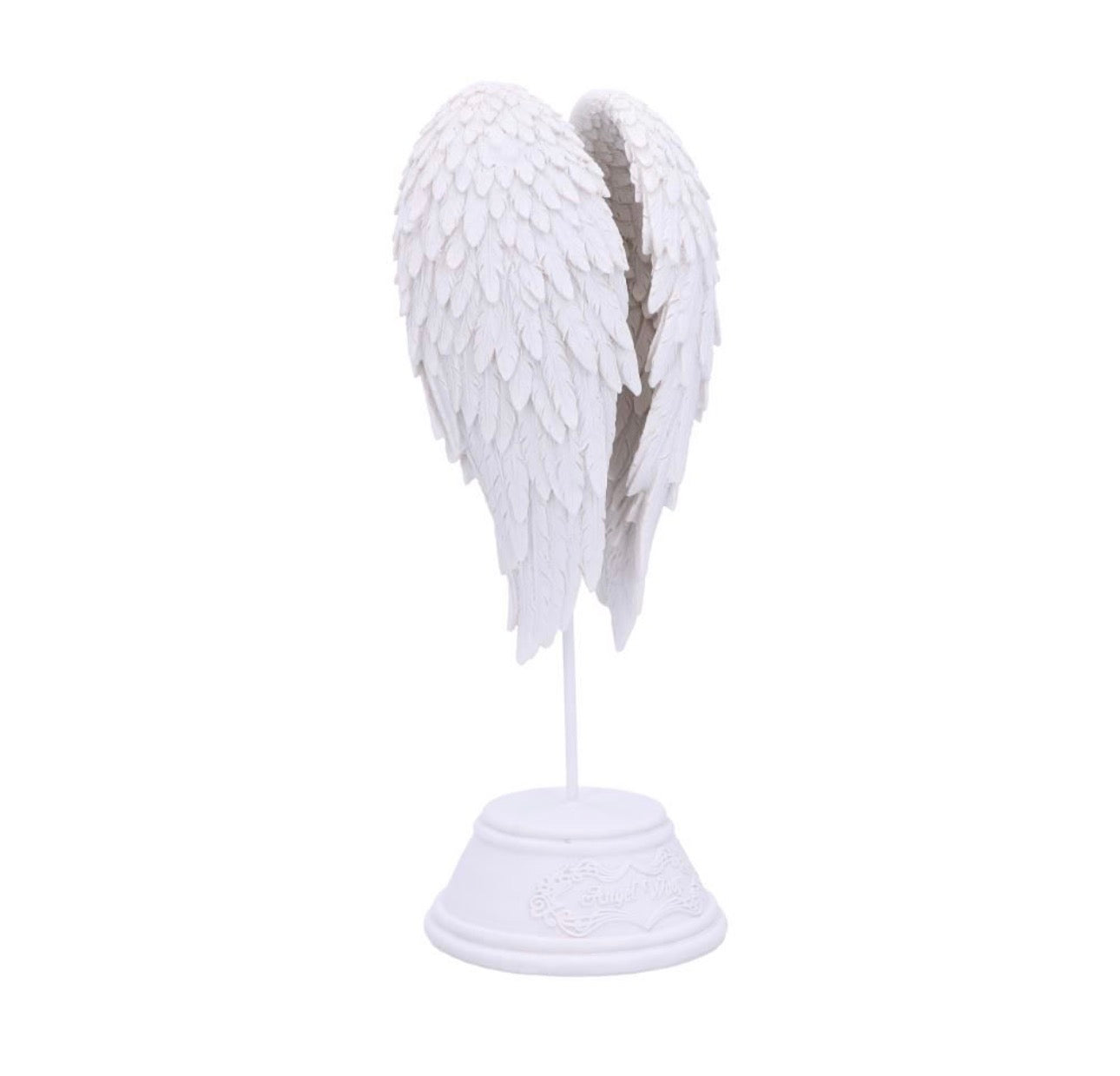 Alas de Ángel 🪽