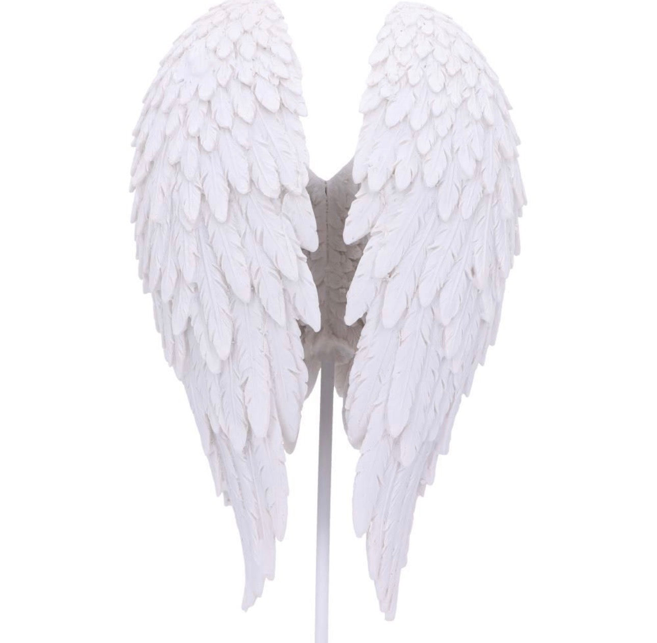 Alas de Ángel 🪽