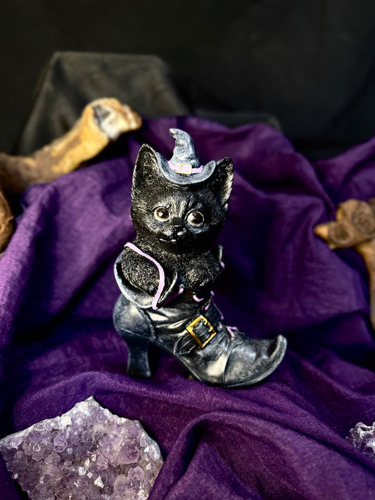 ✨ “Salem, el guardián del zapato encantado” 🖤