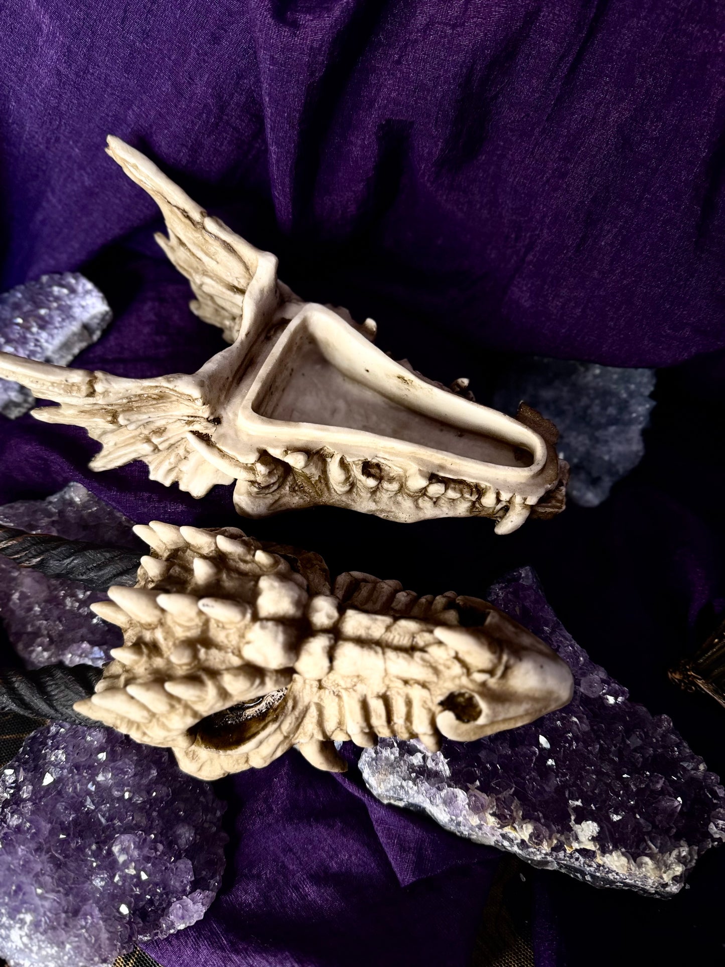 🐲💍 Caja Cabeza de Dragón 💍🐲