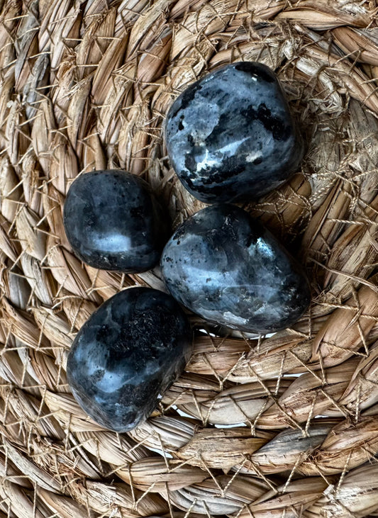 Larvikita Rodada · Protección, arraigo, claridad interior escudo energético