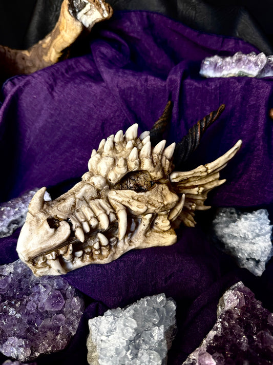 🐲💍 Caja Cabeza de Dragón 💍🐲