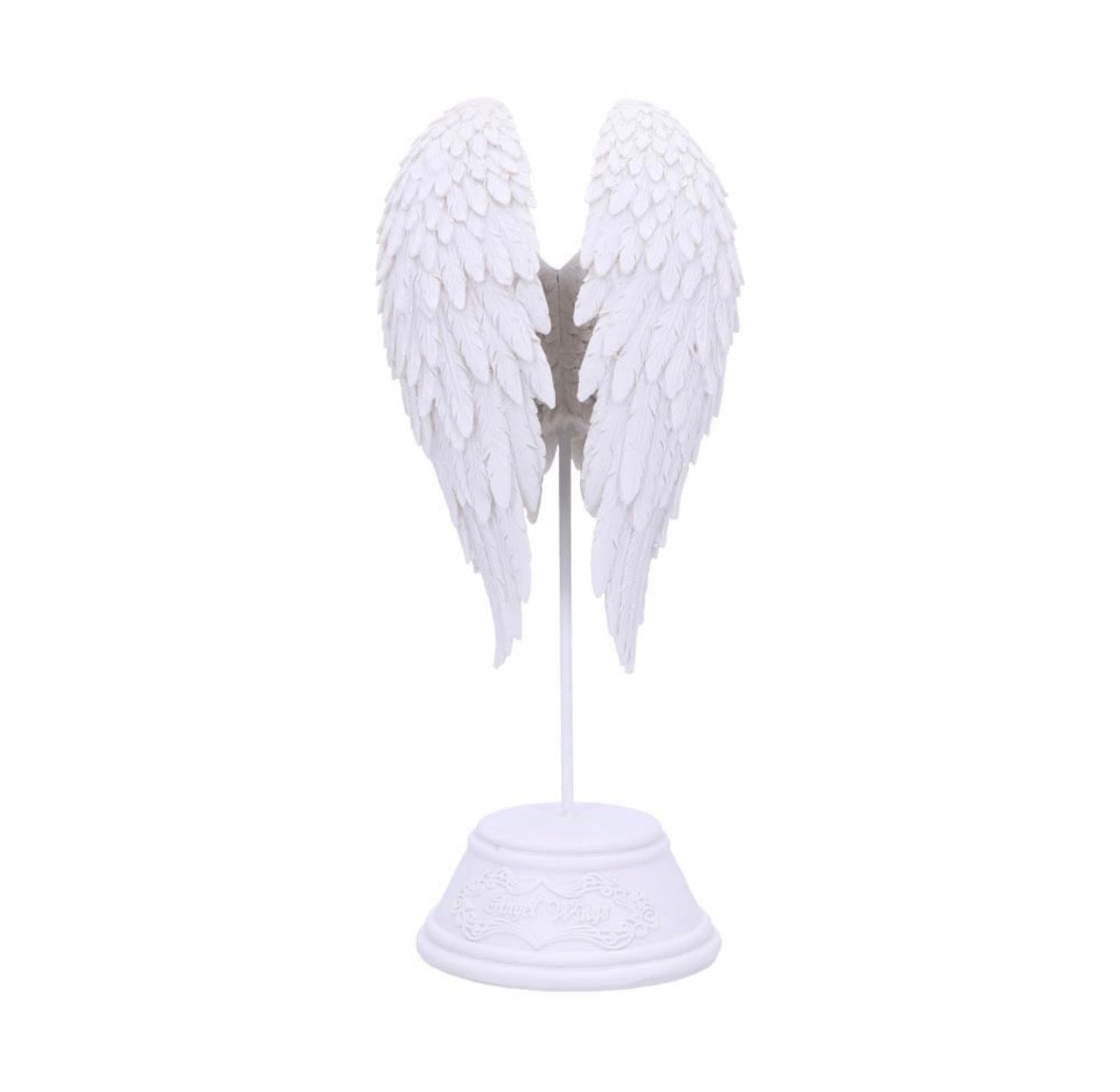 Alas de Ángel 🪽