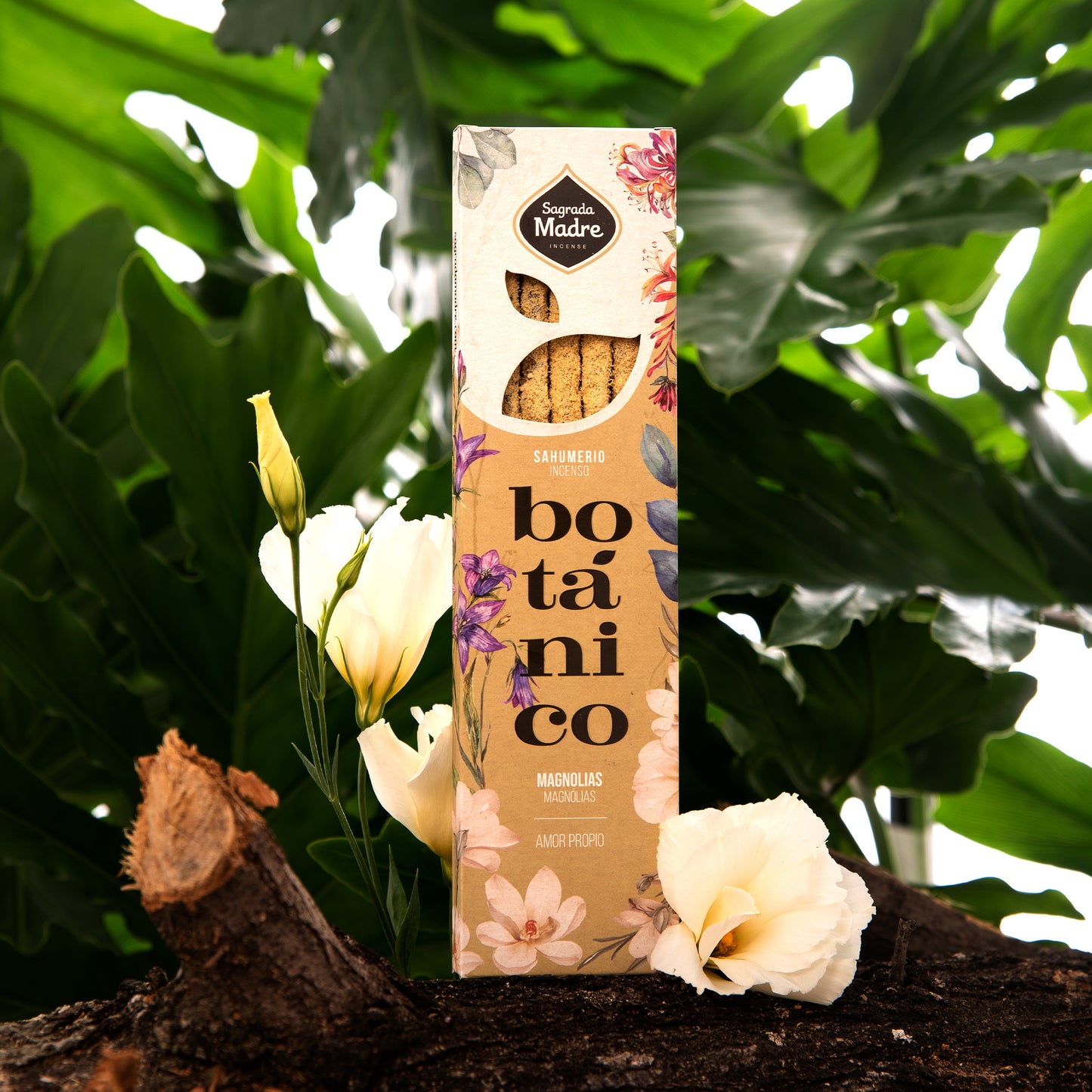 🌺 Botánico Magnolias
