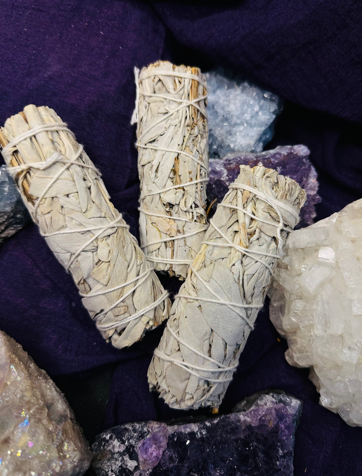 Salvia Blanca de California