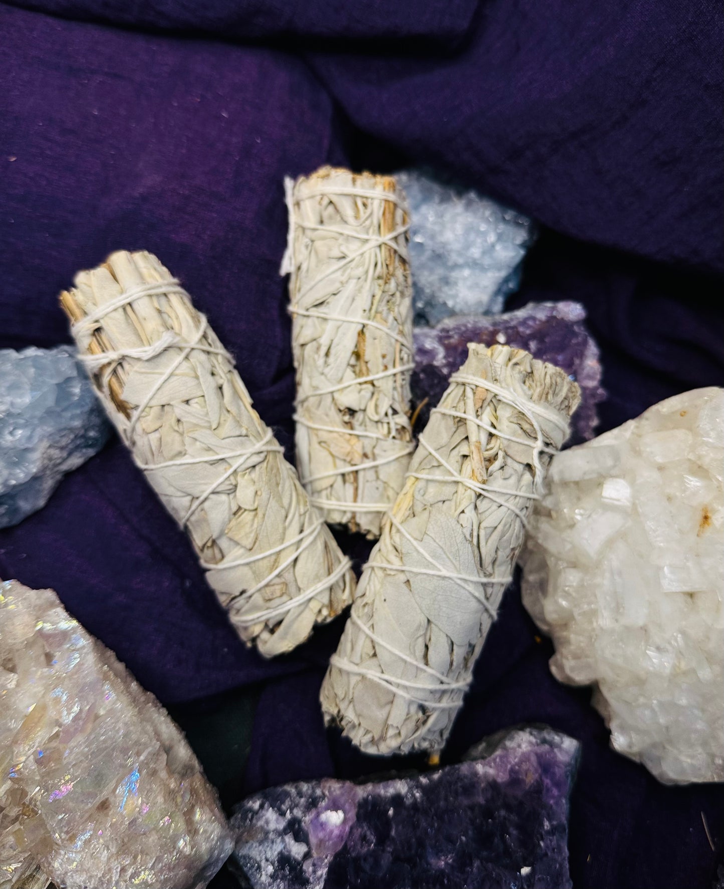 Salvia Blanca de California