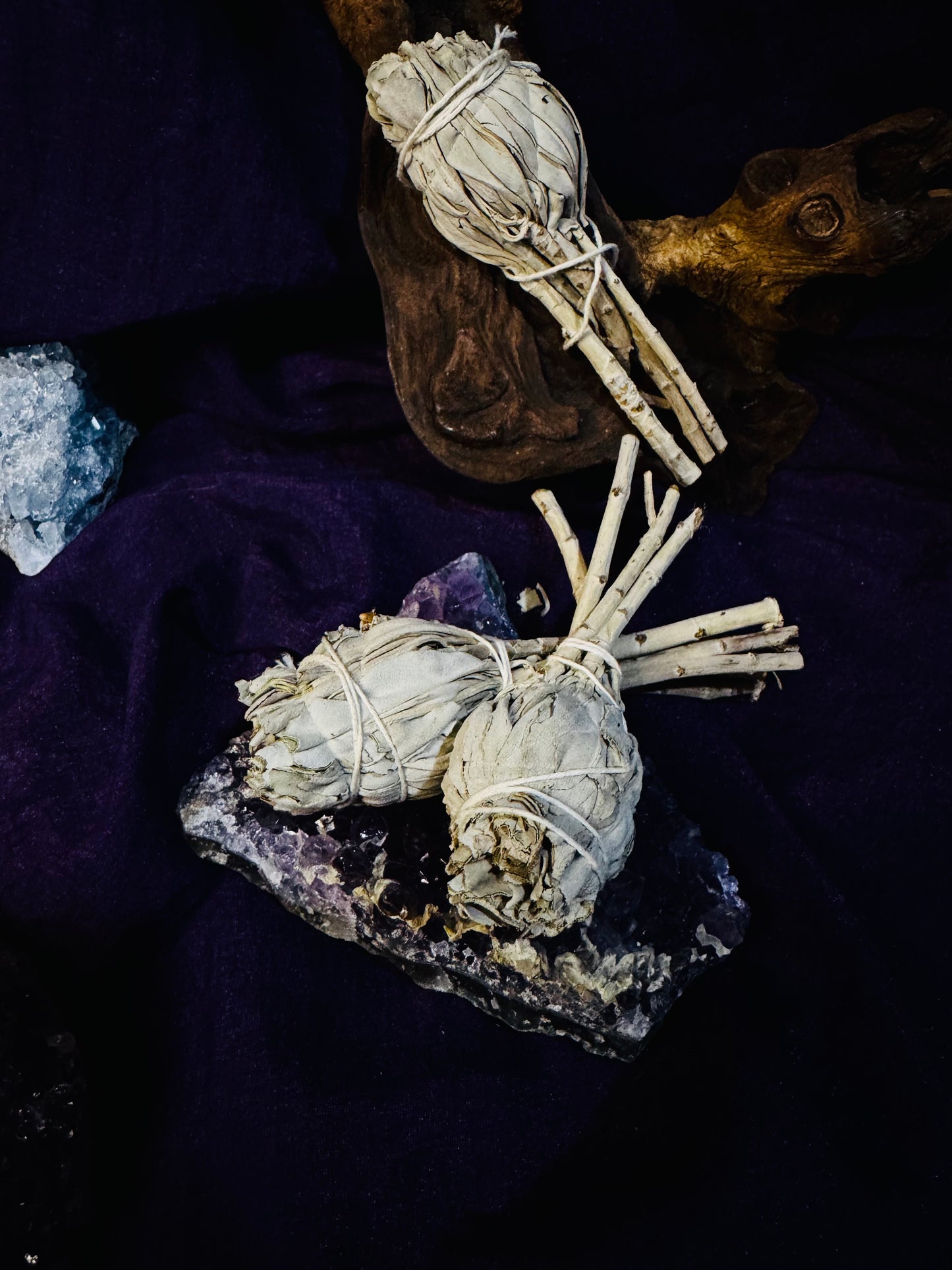 Antorcha Salvia Blanca 🌿🔥