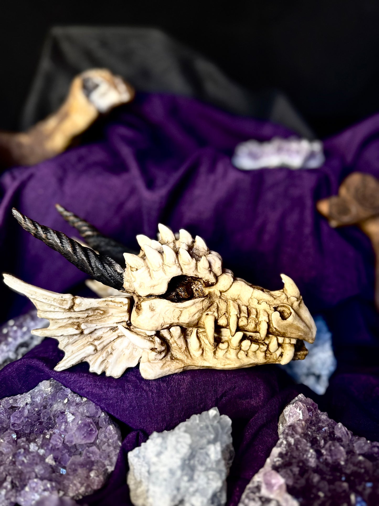 🐲💍 Caja Cabeza de Dragón 💍🐲