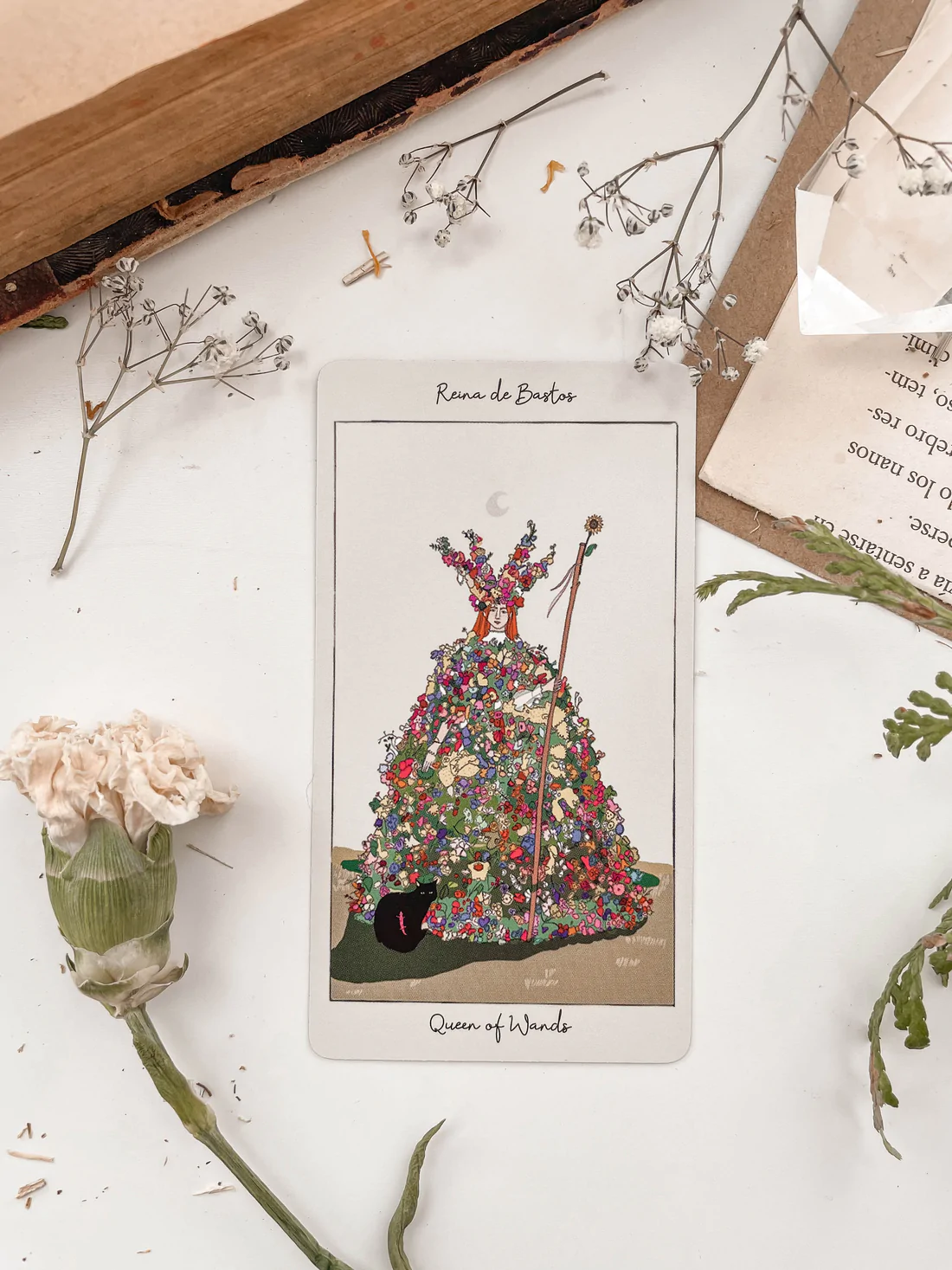 Tarot de Carlotydes de Carlota Santos