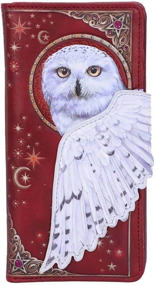 Monedero Lechuza Mágica 🦉
