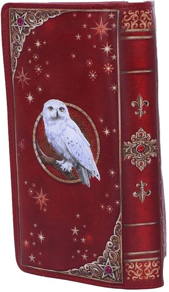 Monedero Lechuza Mágica 🦉