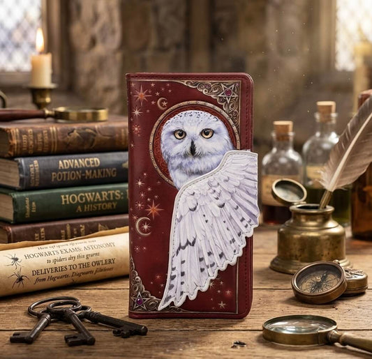 Monedero Lechuza Mágica 🦉