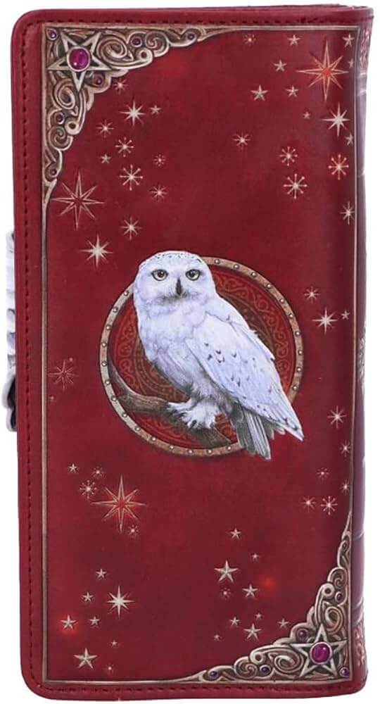 Monedero Lechuza Mágica 🦉